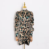 Leopard Print Ruched Mini Dress