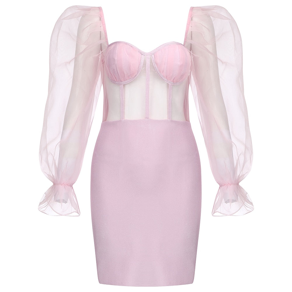 DONITA Mesh Bodice Mini Dress