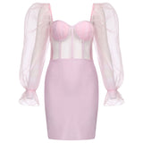 DONITA Mesh Bodice Mini Dress