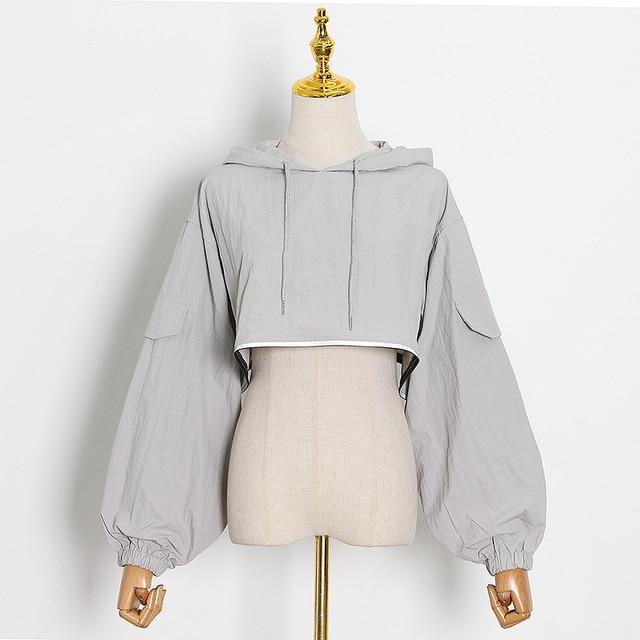 Crop Hooded Sweatshirt in colors
