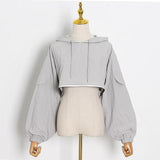 Crop Hooded Sweatshirt in colors