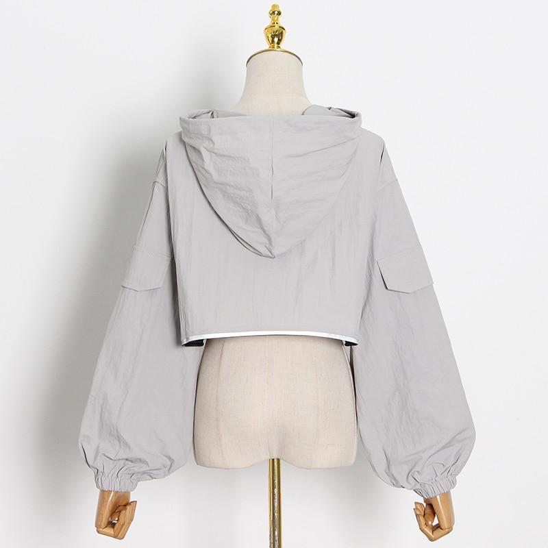 Crop Hooded Sweatshirt in colors