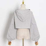 Crop Hooded Sweatshirt in colors
