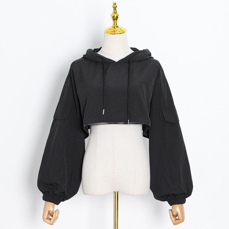 Crop Hooded Sweatshirt in colors