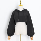 Crop Hooded Sweatshirt in colors