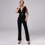 Primetime Looks-Deep V-neck elegant black jumpsuit