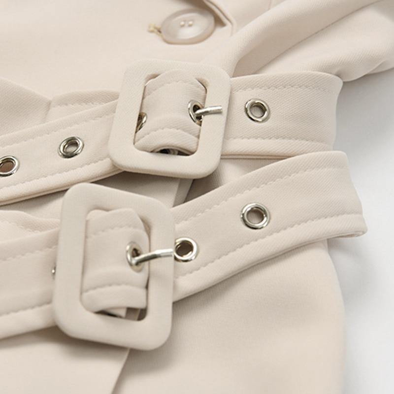 Double-breasted Buckled Blazer in Colors