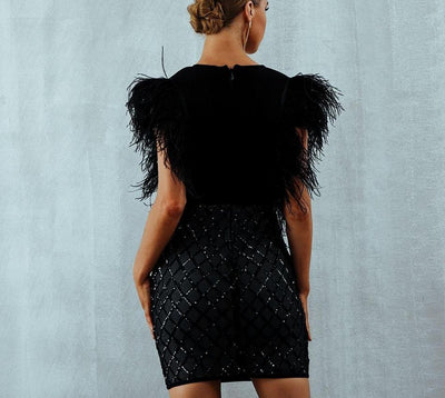 Elegant deep V-neck mini dress with feather sleeves