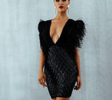 Elegant deep V-neck mini dress with feather sleeves
