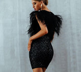 Elegant deep V-neck mini dress with feather sleeves