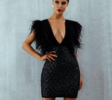 Elegant deep V-neck mini dress with feather sleeves
