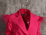 Feathered blazer dress with ruched sleeves in colors