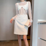KARA Elegant Mesh Mini Dress-Dresses-Primetime-Looks