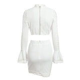 Primetime Looks-Lacey crop top and skirt set