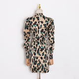 Leopard Print Ruched Mini Dress