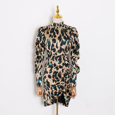 Leopard Print Ruched Mini Dress