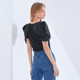 Puffed Pleated Sleeve Blouse in colors