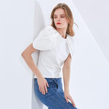Puffed Pleated Sleeve Blouse in colors