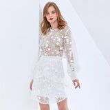 Romantic Lace Blouse and Mini Skirt Set