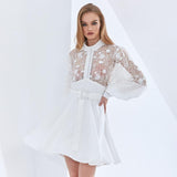 SASHA Lace Bodice Mini Dress in colors