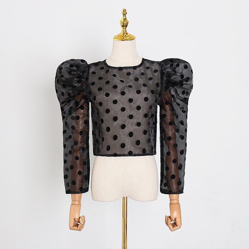 Satin sheer polka dot crop top in colors
