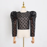 Satin sheer polka dot crop top in colors
