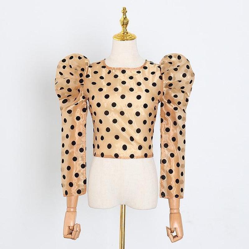 Satin sheer polka dot crop top in colors