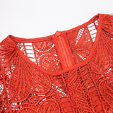DANNIE lace hollow-out mini dress