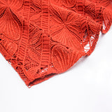 DANNIE lace hollow-out mini dress