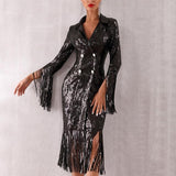 Double-breasted fringe sequinned dress