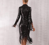 Double-breasted fringe sequinned dress