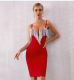 IVY Tasseled Bodycon Dress In Colors