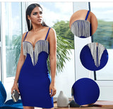 IVY Tasseled Bodycon Dress In Colors