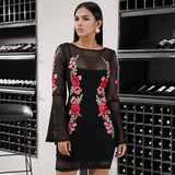Embroidered net mini dress