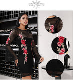 Embroidered net mini dress