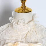 DASHA ruffled lace blouse in colors