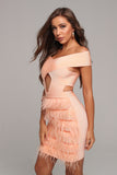 MODELLA off-shoulder feathered party dress