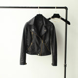 Lapel Zipper Jacket in Colors