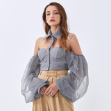 Sweetheart mesh sleeve party crop top