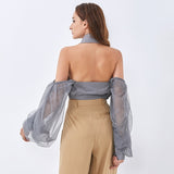 Sweetheart mesh sleeve party crop top