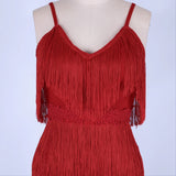 CAROLINA Fringe Mini Dress in colors