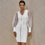 CARINA Mesh Sleeves Fitted Mini Dress