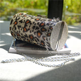 Party Clutch Bag in Rainbow and Leopard Pattern