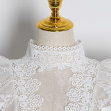 Chic Ruffled Lace Blouse in Colors