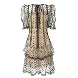Polkadots Mesh Midi Dress in colors