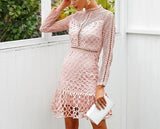 Claire lace mini dress in pink
