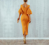 Dionne ruffled sleeves maxi dress in mustard yellow